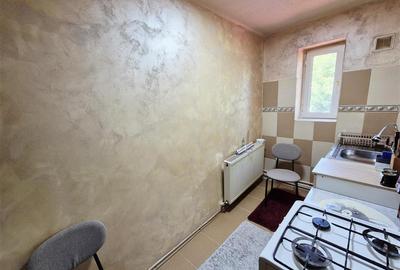 Apartament cu 1 Camera de vanzare in Dancu - 4
