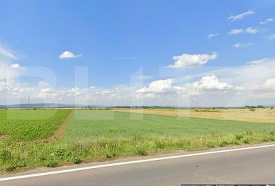 Teren agricol extravilan de 21200 mp, în Hărman