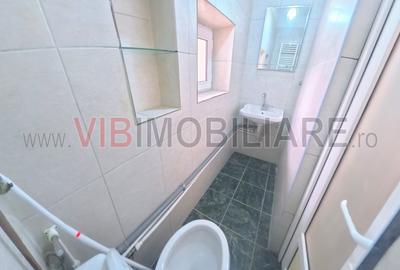 Piata Alba Iulia - Matache Dobrescu - apartament 2 camere in vila - 5