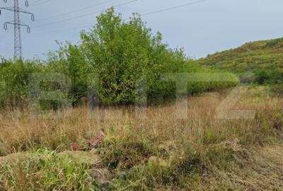 Teren Construcții intravilan de 17524 mp, în Viforâta