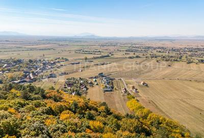 Casă 4 camere, garaj, foișor, grajd, 6000mp teren lângă padure - 25
