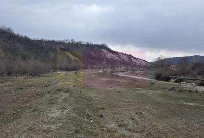Teren agricol extravilan de 1006 mp, în Brebu