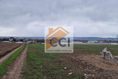 Teren 10,000mp Bacau / Strada Alexandru Safran - 6