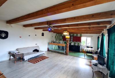 CASA DE VANZARE PODUL OLTULUI CU ACCES PRIVAT - 8