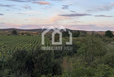 Teren – 7.194 mp | Răscruci – Zona Tetarom - 5