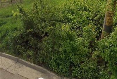 Valea Lupului pe str Victorie colt cu Str Soarelui TEREN 603mp intravilan - 3