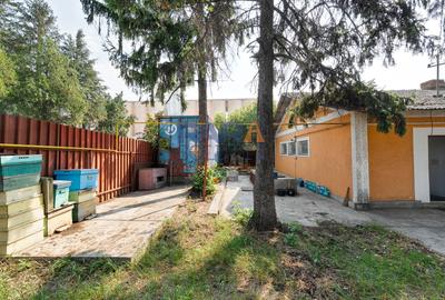 Proprietate comercială OPORTUNITATE INVESTIȚIE - 15