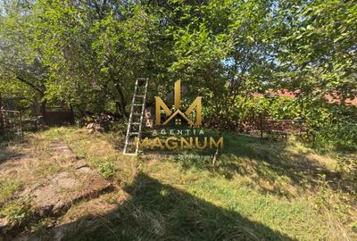 Casă P+M de vânzare | 450 mp teren | Centru Baia Sprie - 13