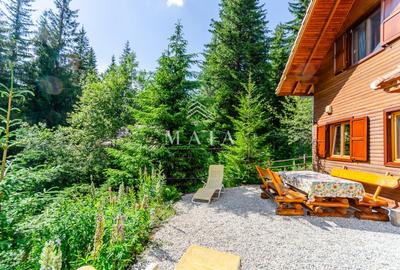 Casa 3 camere, 840 mp teren care include padure, Paltinis - 1