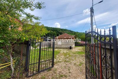 Casă individuală cu 4 camere în Bascov