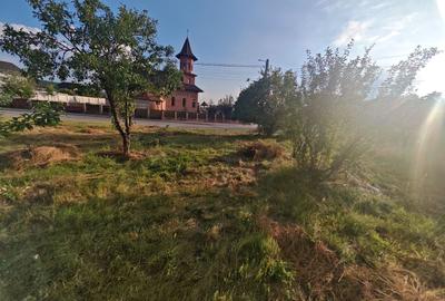 Teren intravilan 1.600 mp Mioveni – Zona Pruni - 5