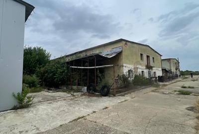 Complex industrial/Ferma de vânzare | Orțișoara, jud. Timiș - 32