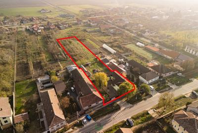 COMISION 0% I Casă + Teren - 3.763 mp I Peciu Nou - str. Principală. - 32