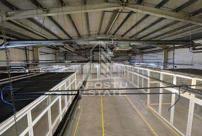 Spațiu industrial, în Buziașului