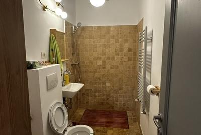 Casa singur curte de inchiriat, renovata, aer conditionat, centrala cu pivnita 2 - 9