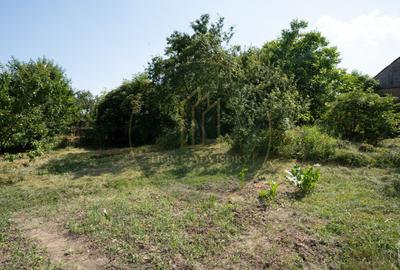 Casă de vânzare în Rotbav | Teren 1.500 mp | Zonă centrală - 7