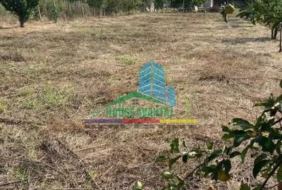 Teren Construcții intravilan de 1500 mp, în Petrești