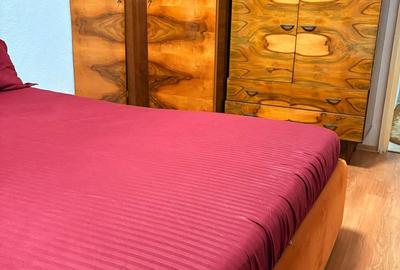 Apartament 2 camere– Lăpușneanu / Satul de Vacanță - 8