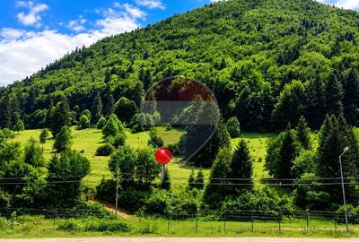 Teren Construcții intravilan de 2500 mp, în Sud-Est