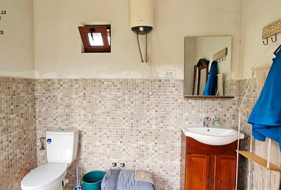 Casa P+M, foisor, anexa si 2500 mp teren, langa padure - 11