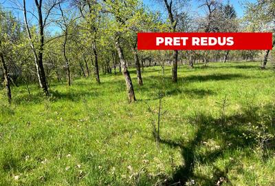 Teren Construcții intravilan de 3097 mp, în Corbi