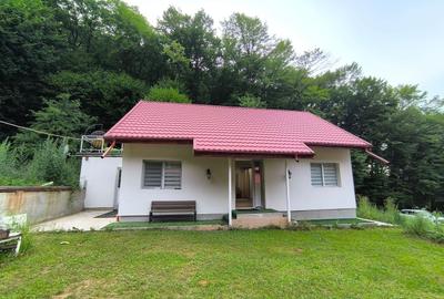 Casa noua Capusu Mare la marginea padurii - 11