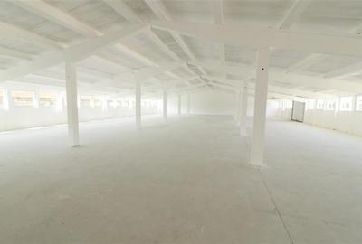 Hala 162 mp, renovata complet, Tomesti - zona industriala - 2