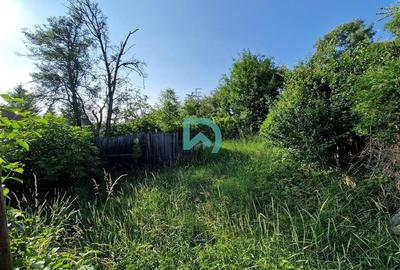 Casa Central, Brasov - 7