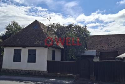 DE VÂNZARE – DOUĂ CASE ÎN SĂRĂȚENI, ÎN APROPIERE DE SOVATA - 25