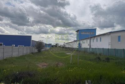 Teren Construcții intravilan de 5000 mp, în Malu Mare