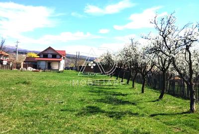 Casa noua cu potential turistic de vanzare in Com Crasna, Sat Radosi, Gorj - 6