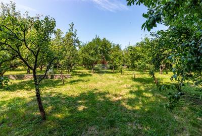 Casă/Vila tip conac, cu anexe si livada de vânzare Valenii de Munte - 21