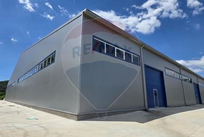 Hala industriala 9700 mp pregatita pentru productie/logistica 600 KVA - 3
