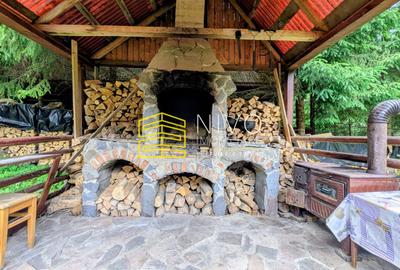 Cabană – Mureș – Sălard – Zona Pensiunea Denisa - 7