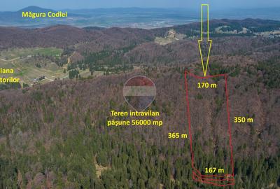 Teren agricol intravilan de 56000 mp, în Poiana Brașov
