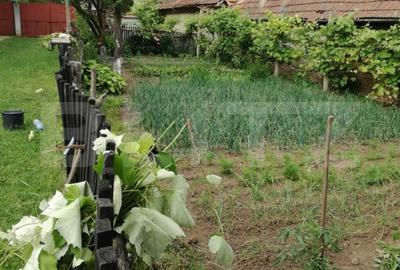 Casa off-grid 5 camere Sangatin judetul Sibiu - 7