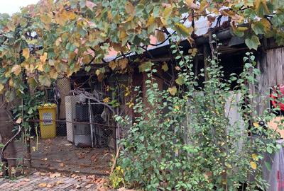 Voluntari Vanzare Case batranesti - 16