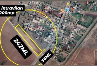 Teren intravilan 8,000mp Castelu - 1