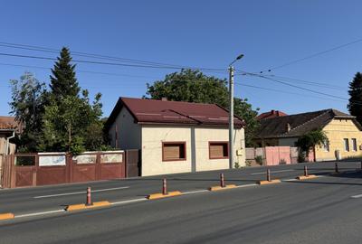 Casa parter, renovata, mobilata, gradina amenajata, str Petofi Sandor-Dumbravita - 49