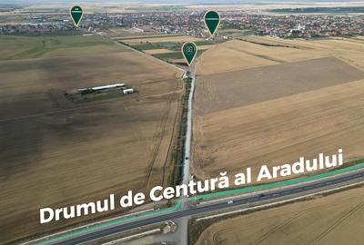 Teren intravilan de 5.000 mp în PUG Vladimirescu - 1