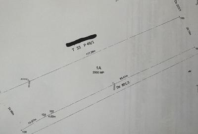 Teren Construcții intravilan de 2500 mp, în Malu Mare