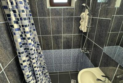 Apartament de inchiriat Parcul 1 Decembrie - 6