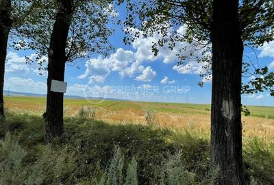 Teren agricol extravilan de 7000 mp, în Miroslava