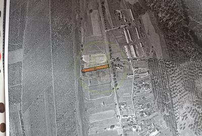 Teren de vânzare - Reghin - Dealu Brezii  2000 mp - 2
