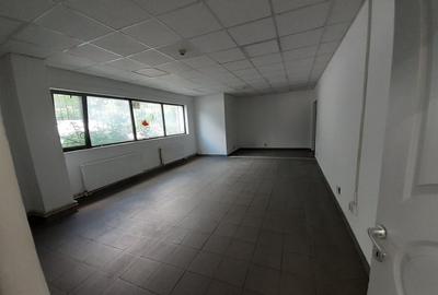 Zona bd. Th. Pallady - hala si birouri 550mp - 10