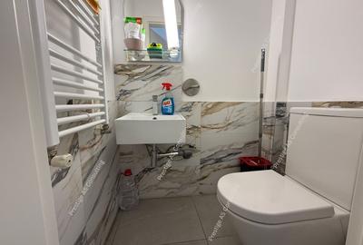 Spatiu comercial in Timisoara | zona Maria-Vad Comercial - 9