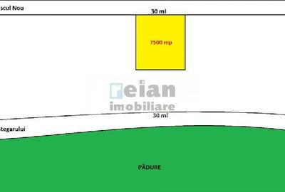 Baneasa - Drumul Piscul Nou, 7500 Mp, Deschidere 30ml - 1