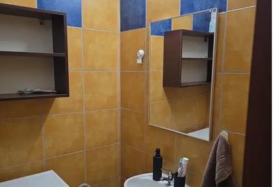 Dristor Metrou - Vitan Mall- se accepta studenti-pet friendly - 3