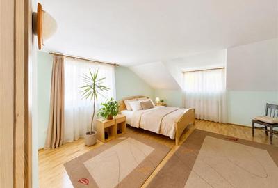 Casa cu 6 camere, 600 mp teren, pomi fructiferi, toate utilitatile, Stupini, Bra - 14