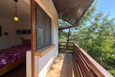 Aspen House, 5 camere, gradina matura, garaj, din caramida, Paradisul Verde - 4